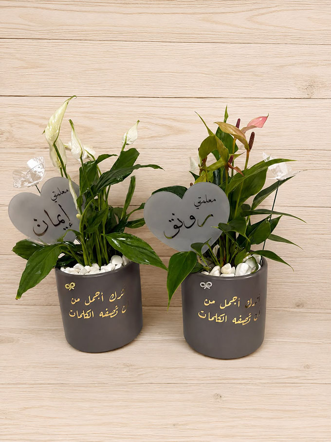 جديد في جلجولية - جيفتيك